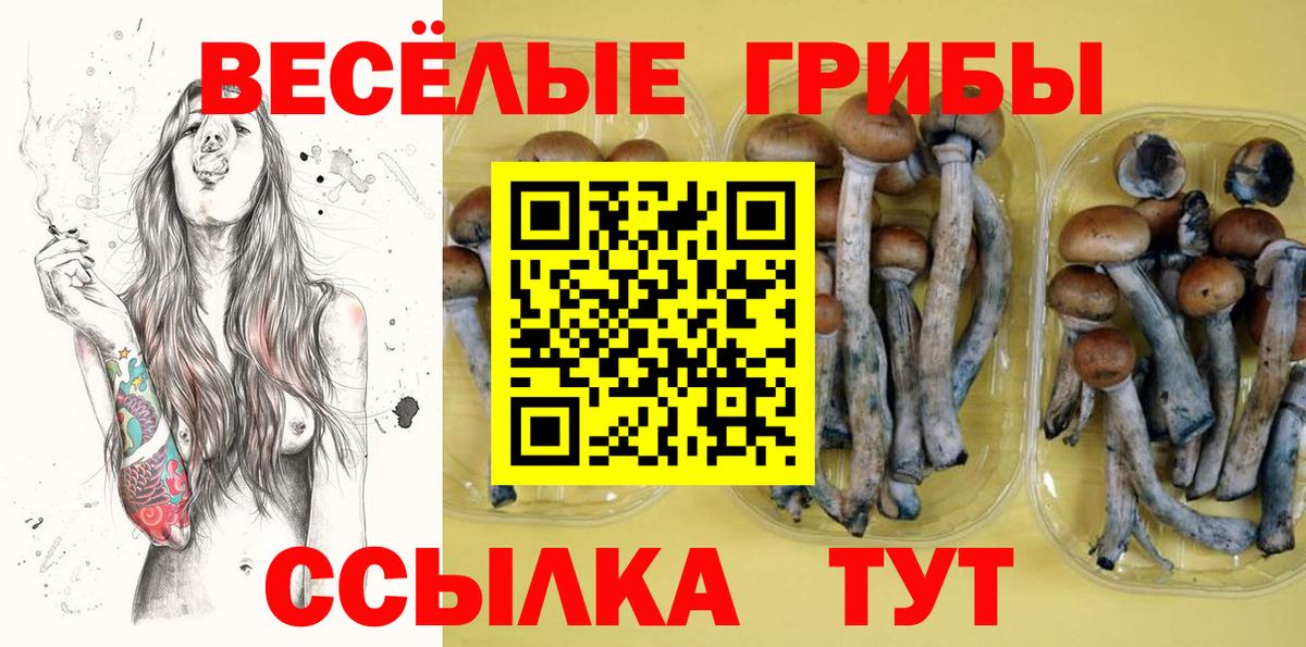 Галлюциногенные грибы MAGIC MUSHROOMS  Вход с VPN  Галлюциногенные грибы мухоморы  Волжск 